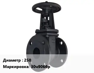 Задвижка чугунная 250 30ч906бр параллельная